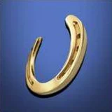 Horseshoe Online Casino logo