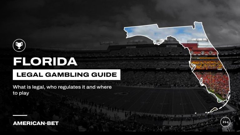 Florida gambling laws and legal betting guide: a full football stadium on a sunny day, framed by an outline map of Florida